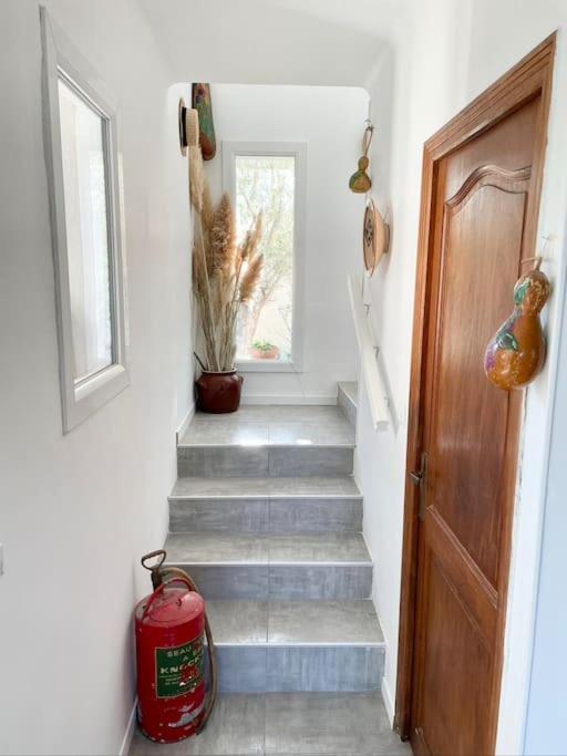 Villa Jeannette Grosseto-Prugna Exteriér fotografie
